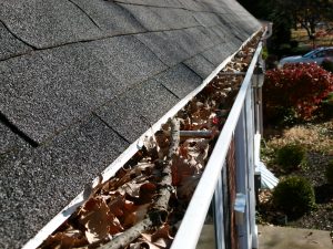 Leaves and sticks clogging gutter