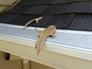 microscreen under shingle gutter guard with leaf on top of screen