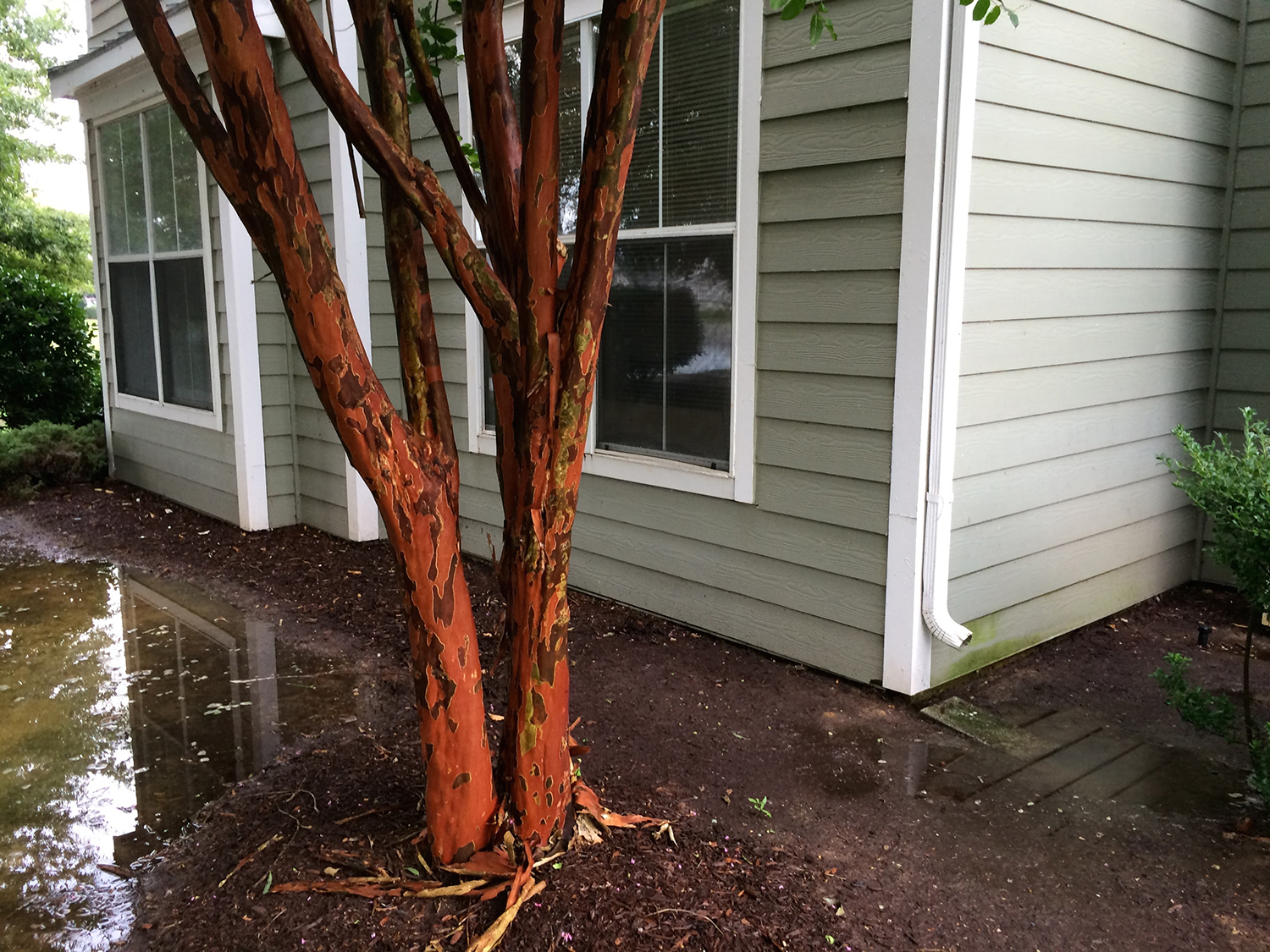 Leaky Basement 8 Reasons Why Your Gutters Are The Likely Culprit Gutter Guards Direct