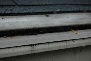 solid gutter cover cinch