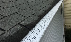 gutter-rx-long-view | Gutter Guards Direct