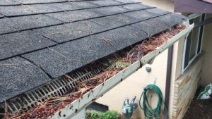 roof-gutters-clogged-pine-needles-gutter-guard-fail | Gutter Guards Direct